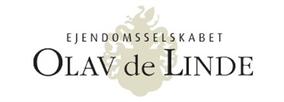 Olav de Linde Odense