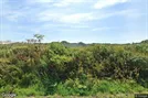 Erhvervsgrund til salg, Nibe, &lt;span class=&quot;blurred street&quot; onclick=&quot;ProcessAdRequest(208910)&quot;&gt;&lt;span class=&quot;hint&quot;&gt;Se vej-navn&lt;/span&gt;[xxxxxxxxxx]&lt;/span&gt;