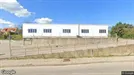 Lager til leje, Nykøbing Sjælland, &lt;span class=&quot;blurred street&quot; onclick=&quot;ProcessAdRequest(248725)&quot;&gt;&lt;span class=&quot;hint&quot;&gt;Se vej-navn&lt;/span&gt;[xxxxxxxxxx]&lt;/span&gt;