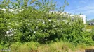 Lager til leje, Birkerød, &lt;span class=&quot;blurred street&quot; onclick=&quot;ProcessAdRequest(288446)&quot;&gt;&lt;span class=&quot;hint&quot;&gt;Se vej-navn&lt;/span&gt;[xxxxxxxxxx]&lt;/span&gt;