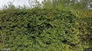 Lager til leje, Årslev, &lt;span class=&quot;blurred street&quot; onclick=&quot;ProcessAdRequest(292556)&quot;&gt;&lt;span class=&quot;hint&quot;&gt;Se vej-navn&lt;/span&gt;[xxxxxxxxxx]&lt;/span&gt;