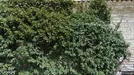 Kontor til leje, Køge, &lt;span class=&quot;blurred street&quot; onclick=&quot;ProcessAdRequest(295374)&quot;&gt;&lt;span class=&quot;hint&quot;&gt;Se vej-navn&lt;/span&gt;[xxxxxxxxxx]&lt;/span&gt;