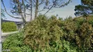 Lager til leje, Egå, Øster Kringelvej<span class="blurred street-number" onclick="ProcessAdRequest(321672)"><span class="hint">Se vejnr.</span>[xxxxxxxx]</span>