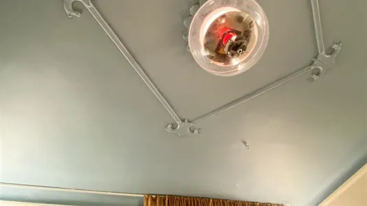 Kliniklokaler til leje i Århus C - billede 3