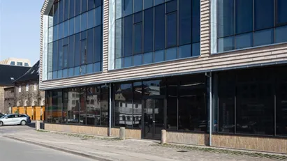 Trangravshusene: Showroom i første række til kanal og kulturarv