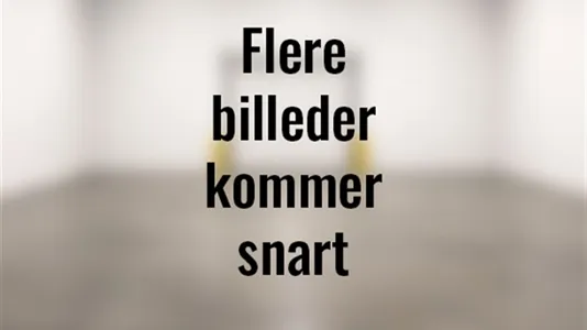 Lagerlokaler til leje i Rødovre - billede 3