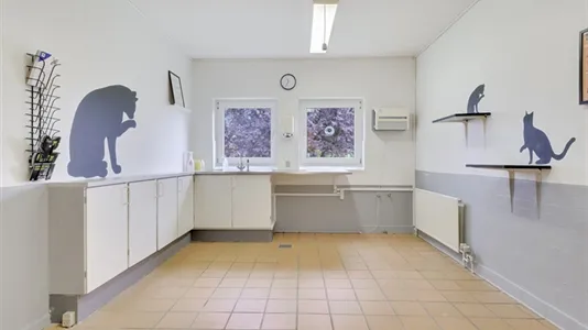 Erhvervslejemål til salg i Tommerup - billede 6