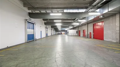 Højloftet lagerlejemål m. masser porte og effektivt lasteområde