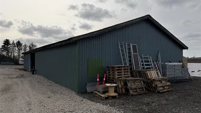 Stålhal 300 m2 udlejes ved Roskilde og tæt på lufthavn