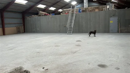 Erhvervslejemål til leje i Haslev - billede 6