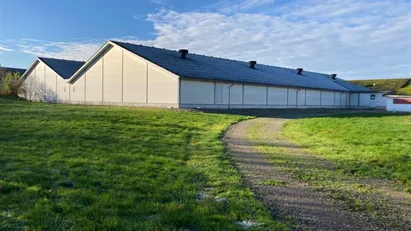 1.000 m2 højloftet isoleret lagerhal udlejes.