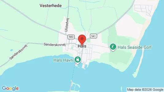 Butikslokaler til leje i Hals - kort over placeringen