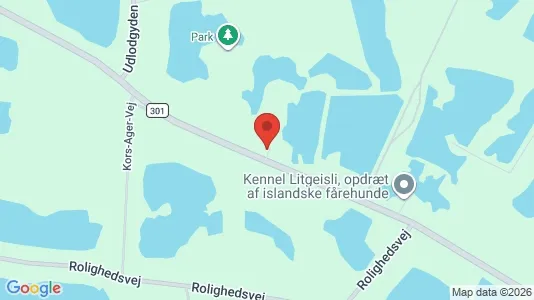 Boligudlejningsejendomme til salg i Odense SØ - Foto fra Google Street View