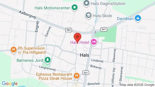 Erhvervslejemål til leje i Hals - kort over placeringen