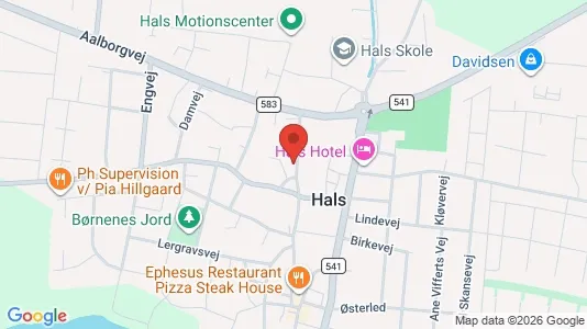 Erhvervslejemål til leje i Hals - kort over placeringen