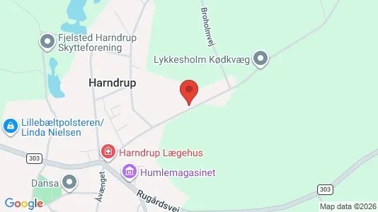 Boligudlejningsejendomme til salg i Harndrup - Foto fra Google Street View