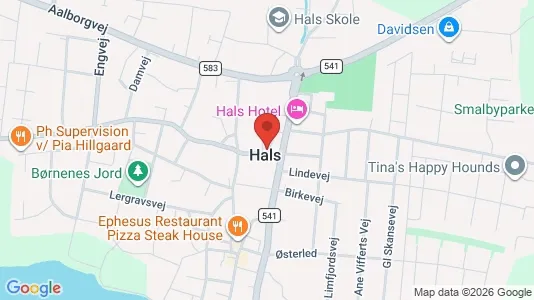 Erhvervslejemål til leje i Hals - Foto fra Google Street View