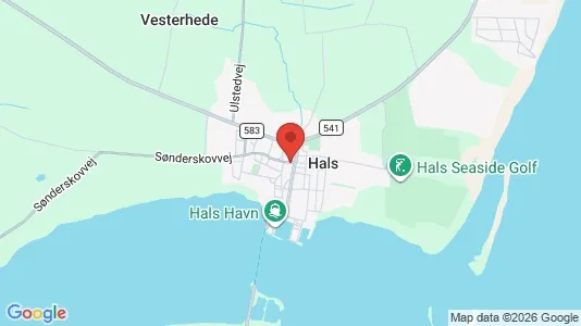 Erhvervslejemål til leje i Hals - kort over placeringen