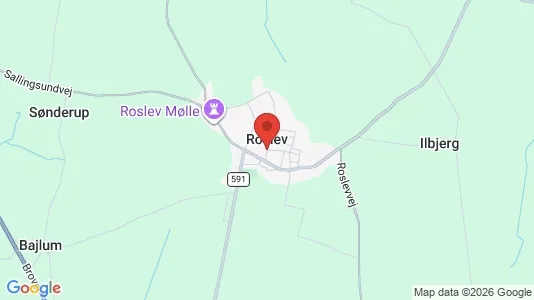 Erhvervslejemål til leje i Roslev - Foto fra Google Street View
