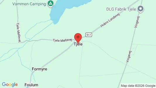 Erhvervslejemål til leje i Tjele - Foto fra Google Street View