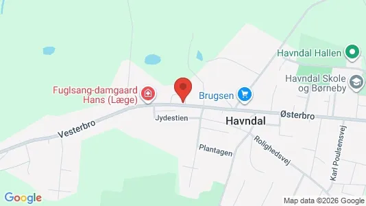 Boligudlejningsejendomme til salg i Havndal - Foto fra Google Street View