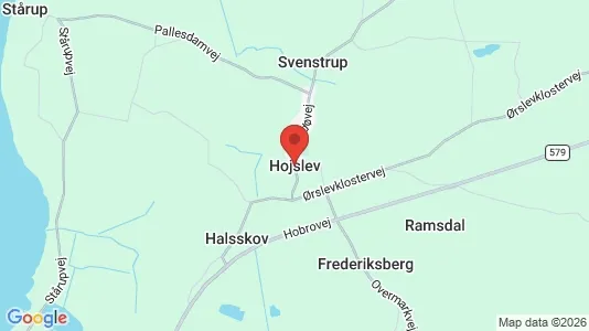 Erhvervslejemål til leje i Højslev - Foto fra Google Street View