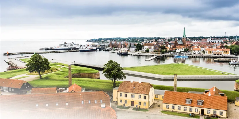 De forskellige kvarterer i Helsingør set fra et erhvervsmæssigt perspektiv