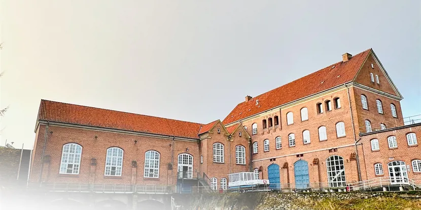 En handelsmæssig rundtur i Viborgs forskellige kvarterer