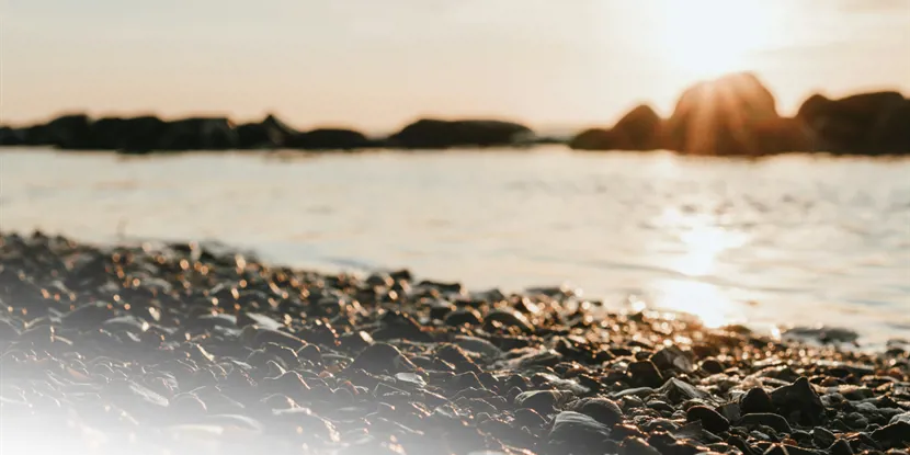 Handelslivet i Horsens: En guide til byens forskellige bydele