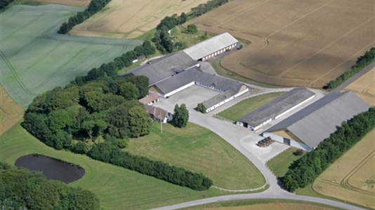 800 - 15000 m2 lager, produktion i Sulsted til leje