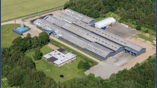 800 - 3800 m2 lager, produktion i Vinderup til leje
